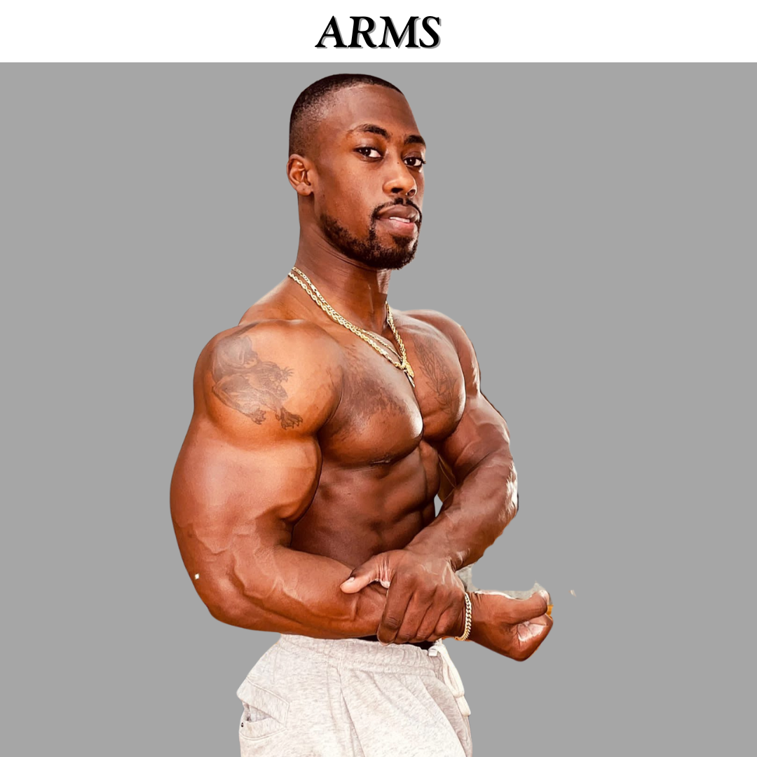 Arms – Build Bigger Biceps & Triceps in 6 Weeks